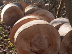 Topbesk&aelig;ring.dk-br&aelig;nde