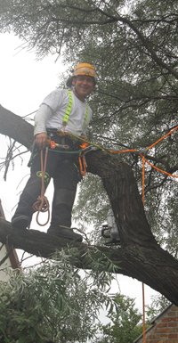 Topbesk&aelig;ring.dk-p&aring; job