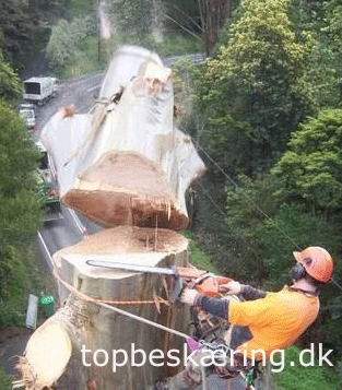 Topbesk&aelig;ring.dk-akut tr&aelig;f&aelig;ldning