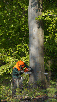 Topbesk&aelig;ring.dk-tr&aelig;f&aelig;ldning